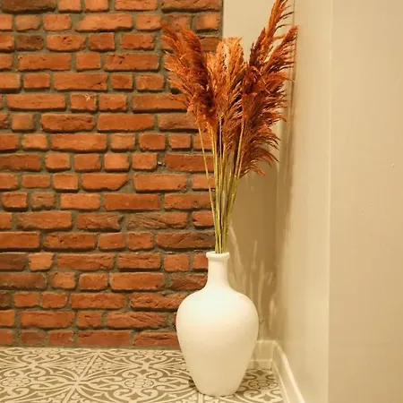 Lägenhet Modern 3br Location In Kadikoy Istanbul
